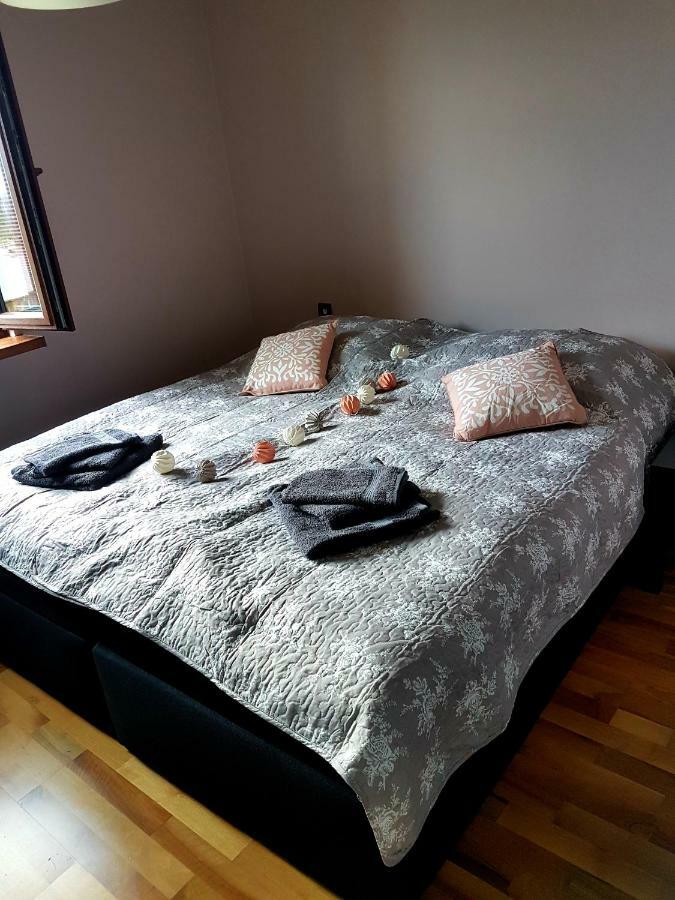 Sloneczny Daire Kielce Dış mekan fotoğraf